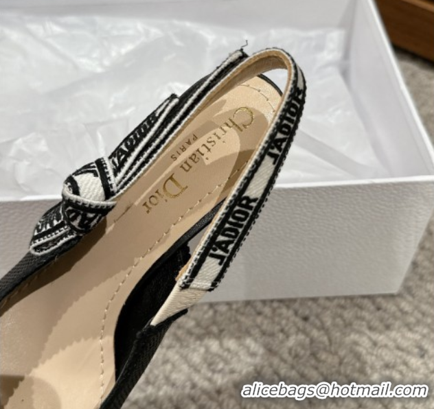 Charming Dior J'Adior Slingback Pumps 6.5cm in Black Straw-Like 604044