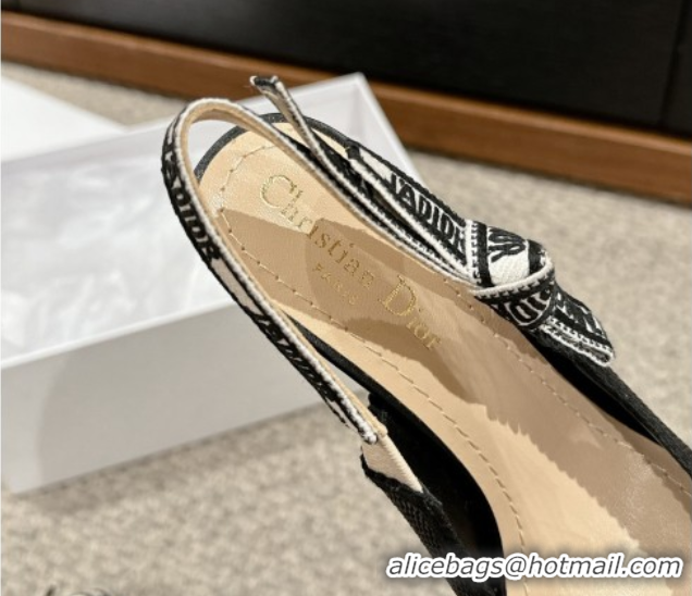 Sumptuous Dior J'Adior Slingback Pumps 9.5cm in Black Straw-Like 604045