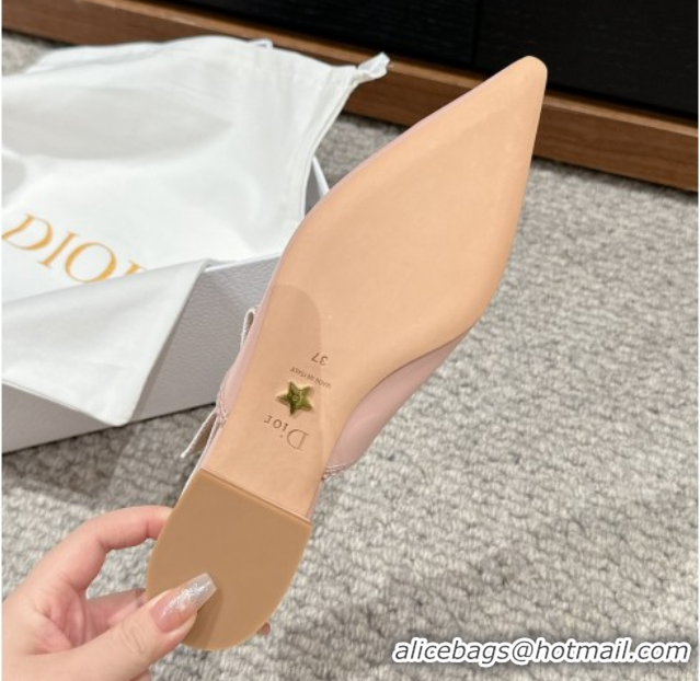 Good Quality Dior J'Adior Slingback Pumps/Ballet Flats in Light Pink Lambskin 604047