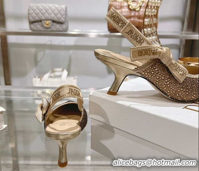 Good Looking Dior J'Adior Slingback Pumps 6.5cm in Strass Embroidery Gradient Gold 604058