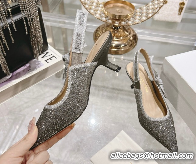 Luxurious Dior J'Adior Slingback Pumps 6.5cm in Strass Embroidery Grey 604060