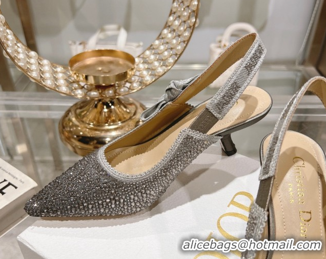 Luxurious Dior J'Adior Slingback Pumps 6.5cm in Strass Embroidery Grey 604060