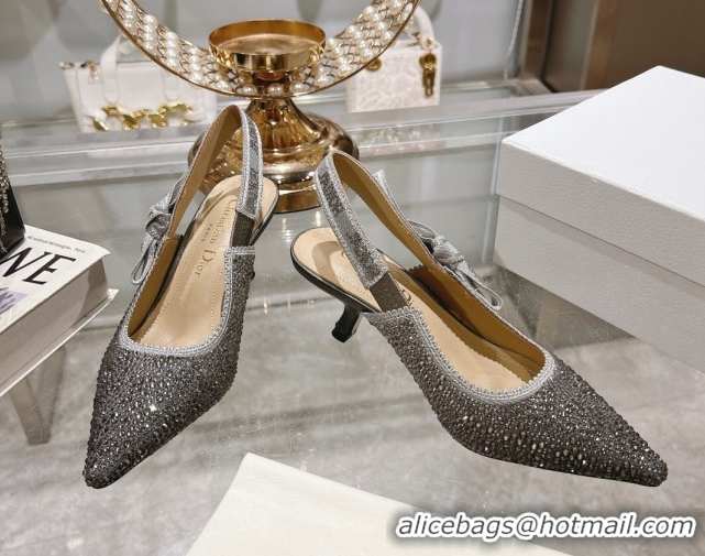 Luxurious Dior J'Adior Slingback Pumps 6.5cm in Strass Embroidery Grey 604060