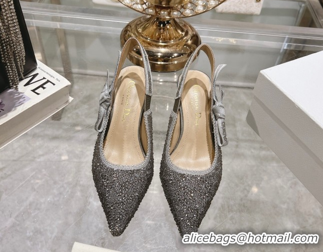 Luxurious Dior J'Adior Slingback Pumps 6.5cm in Strass Embroidery Grey 604060