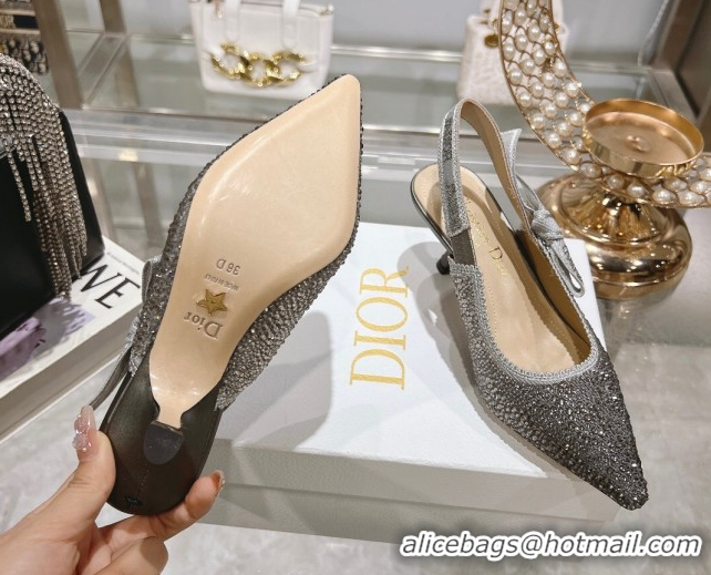 Luxurious Dior J'Adior Slingback Pumps 6.5cm in Strass Embroidery Grey 604060