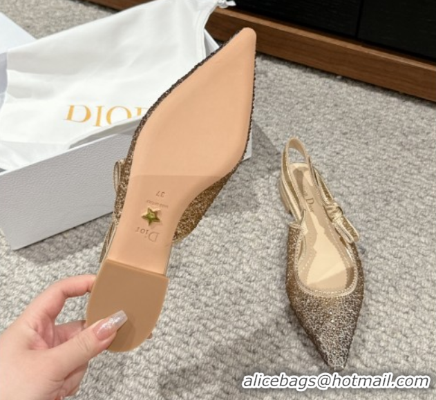 Pretty Style Dior J'Adior Slingback Ballet in Strass Embroidery Gradient Gold 604066