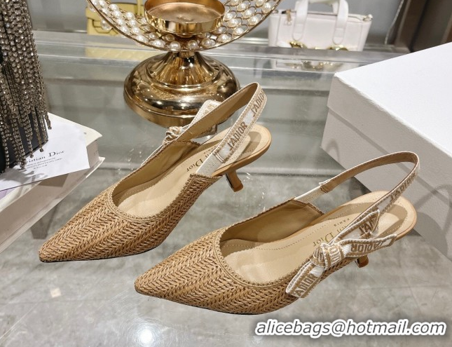 Best Price Dior J'Adior Slingback Pumps 6.5cm in Braided Straw Khaki 604070