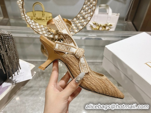 Best Price Dior J'Adior Slingback Pumps 6.5cm in Braided Straw Khaki 604070