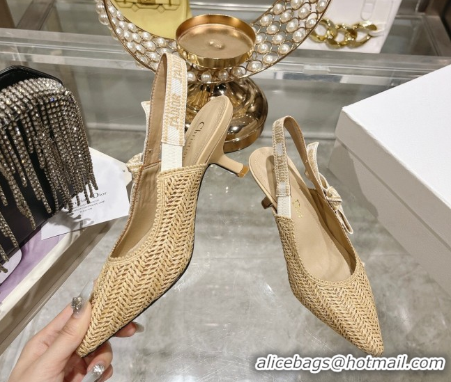 Lowest Price Dior J'Adior Slingback Pumps 6.5cm in Braided Straw Beige 604071