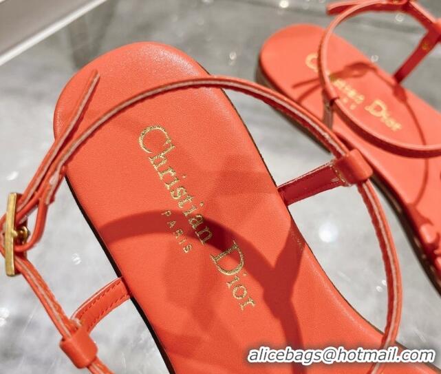 Top Design Dior Dioriviera C'est Flat Thong Sandals in Orange Calfskin 702055