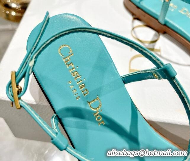 Popular Style Dior Dioriviera C'est Flat Thong Sandals in Blue Calfskin 702057