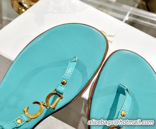 Popular Style Dior Dioriviera C'est Flat Thong Sandals in Blue Calfskin 702057