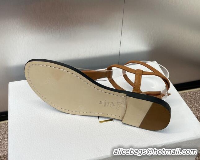 Stylish Dior Dioriviera Dior Sun Thong Sandal in Brown Calfskin 71705