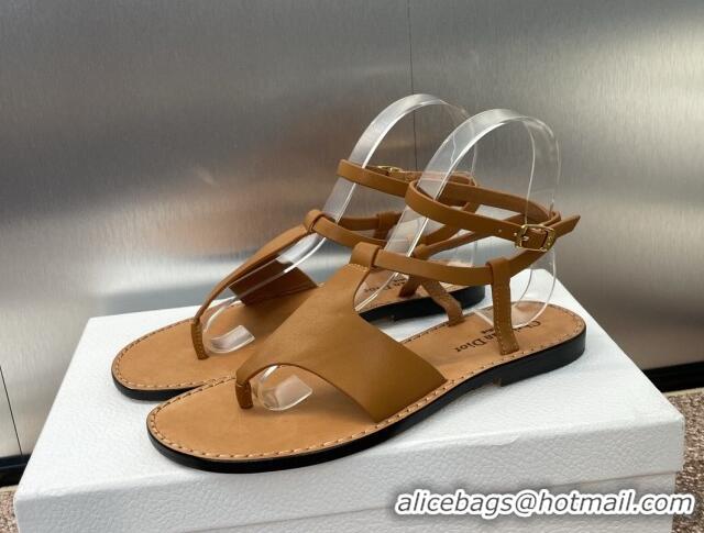 Stylish Dior Dioriviera Dior Sun Thong Sandal in Brown Calfskin 71705