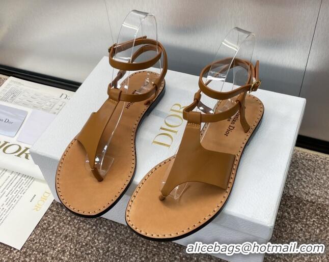 Stylish Dior Dioriviera Dior Sun Thong Sandal in Brown Calfskin 71705