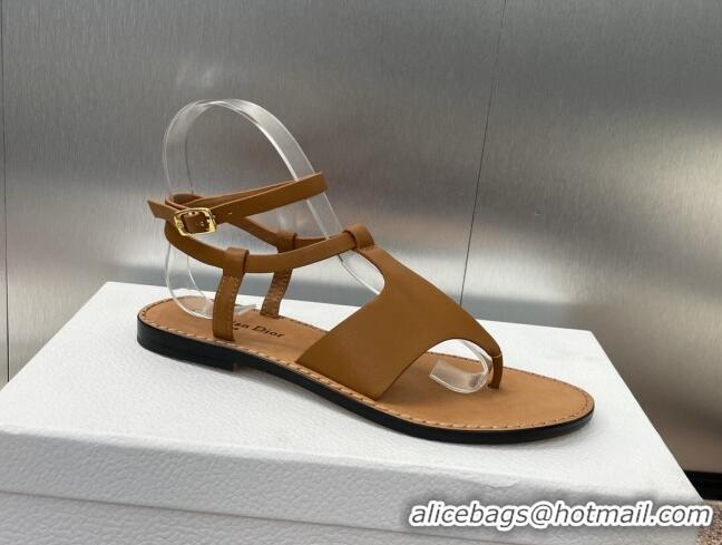 Stylish Dior Dioriviera Dior Sun Thong Sandal in Brown Calfskin 71705