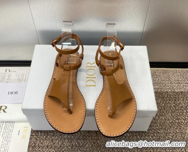 Stylish Dior Dioriviera Dior Sun Thong Sandal in Brown Calfskin 71705