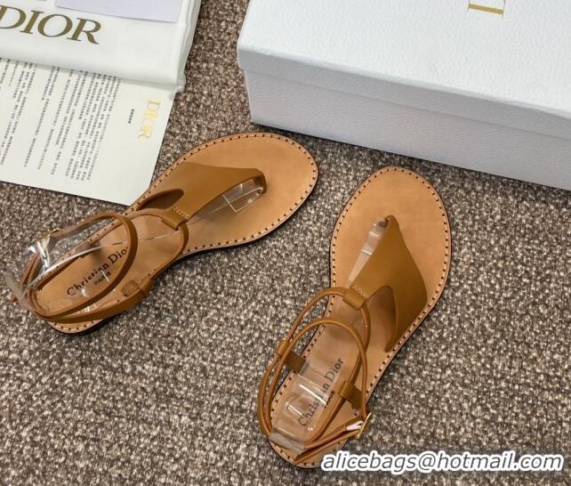 Stylish Dior Dioriviera Dior Sun Thong Sandal in Brown Calfskin 71705