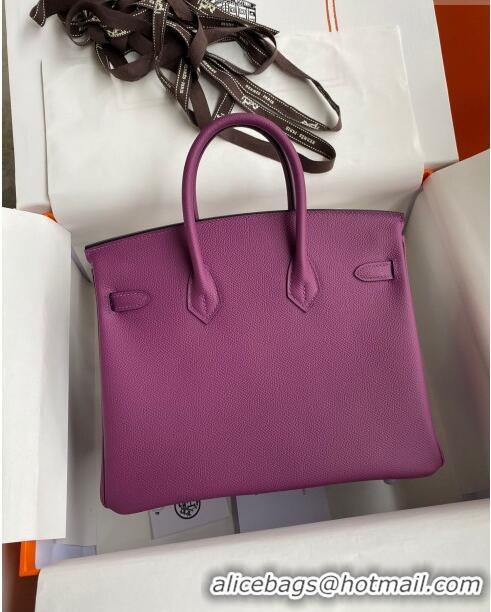 Best Price Hermes Birkin 25cm Bag in Original Epsom Leather Anemones H25 Purple 2024 (Full Handmade)