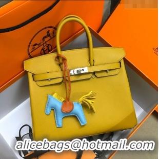 Top Quality Hermes Birkin 25cm Bag in Original Epsom Leather H25 Amber Yellow/Silver 2024 (Full Handmade)