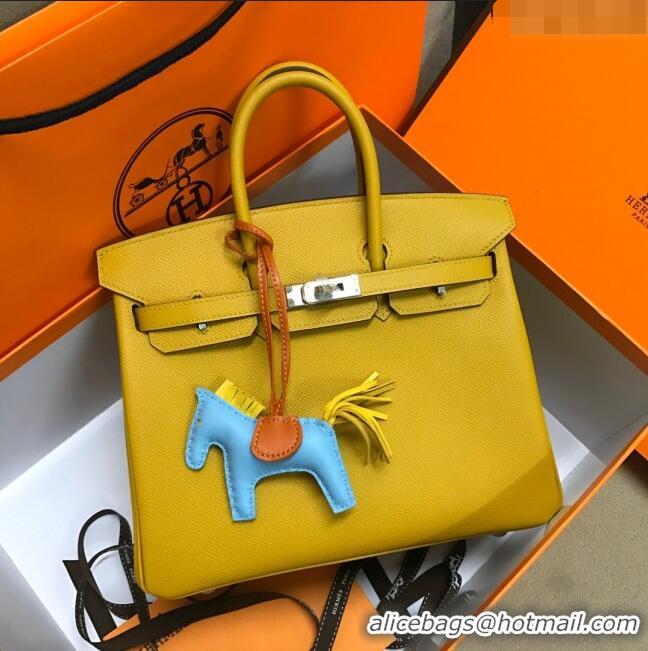 Top Quality Hermes Birkin 25cm Bag in Original Epsom Leather H25 Amber Yellow/Silver 2024 (Full Handmade)