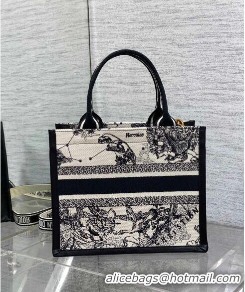 Trendy Design Dior Small Book Tote bag in Zodiac Embroidery and Calfskin D0716 White/Blue 2024