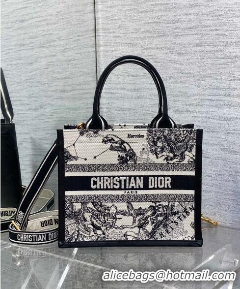 Trendy Design Dior Small Book Tote bag in Zodiac Embroidery and Calfskin D0716 White/Blue 2024