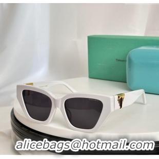 Luxury Wholesale Tiffany & CO. Sunglasses OTF4218 2024