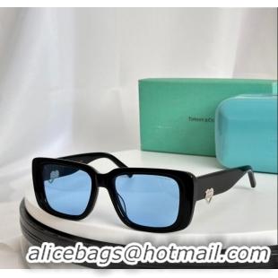 Market Sells Tiffany & CO. Sunglasses TF5009 Black/Blue 2024