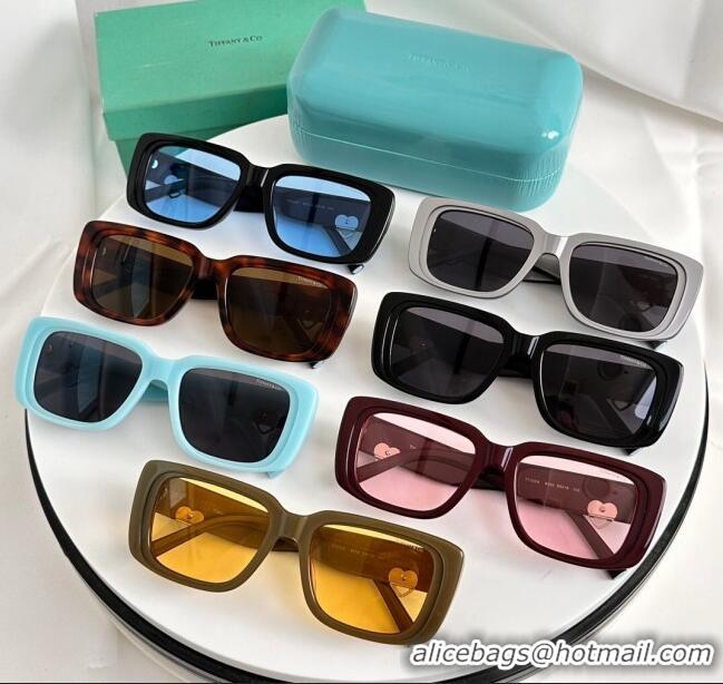 Market Sells Tiffany & CO. Sunglasses TF5009 Black/Blue 2024