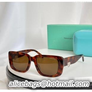 Low Cost Tiffany & CO. Sunglasses TF5009 Brown 2024