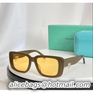 Elegant Cheap Tiffany & CO. Sunglasses TF5009 Khaki/Yellow 2024