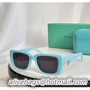 Hot Style Tiffany & CO. Sunglasses TF5009 Blue 2024