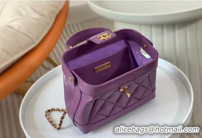 Buy Cheap Chanel Shiny Lambskin Mini Bag with Top Handle Bag AS4958 Purple 2024