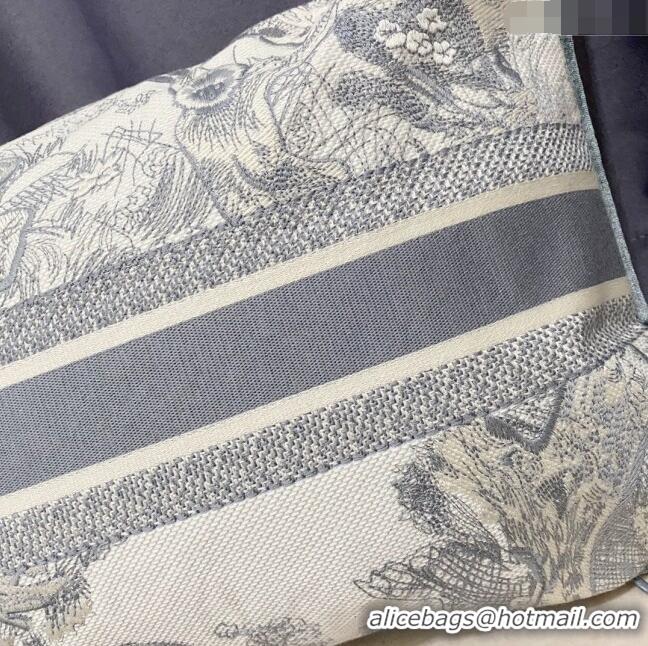 Luxurious Dior Large Rectangular Pillow 30x50cm in Toile de Jouy Embroidery CD2524 Grey