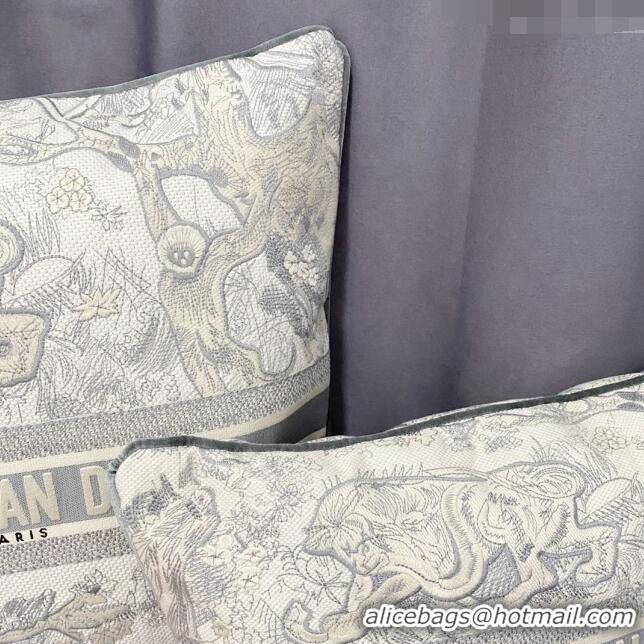 Luxurious Dior Large Rectangular Pillow 30x50cm in Toile de Jouy Embroidery CD2524 Grey