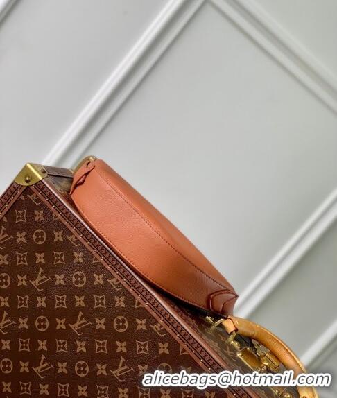 Trendy Design Louis Vuitton Low Key Bumbag M83546 Brown 2024