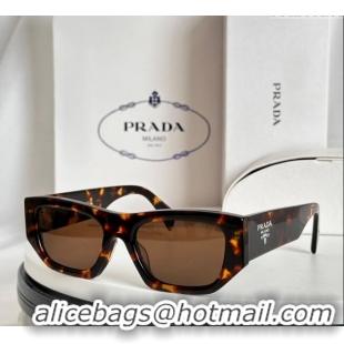 Top Design Prada Sunglasses SPR01S Brown 2024