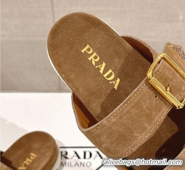 Sophisticated Prada Suede Flat Slide Sandals with Double Buckle Strap Brown 430034