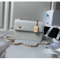 Luxury Classic Chanel Leather Flap bag with Top Handle AS6025 White 2024