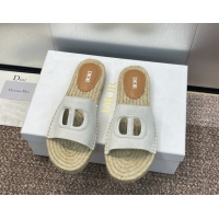 Good Looking Dior D-Club Flat Espadrille Slide Sandals in CD Suede Light Grey 604024