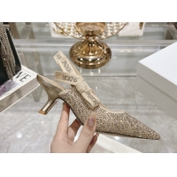 Unique Style Dior J'Adior Slingback Pumps 6.5cm in Strass Embroidery Gold-Tone 604057