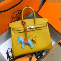 Top Quality Hermes Birkin 25cm Bag in Original Epsom Leather H25 Amber Yellow/Silver 2024 (Full Handmade)