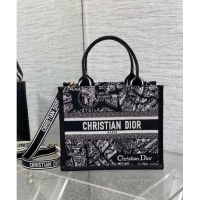 New Fashion Dior Small Book Tote bag in Black and White Plan de Paris Embroidery 2024