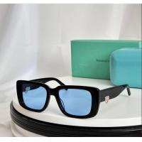 Market Sells Tiffany & CO. Sunglasses TF5009 Black/Blue 2024