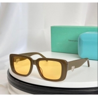 Elegant Cheap Tiffany & CO. Sunglasses TF5009 Khaki/Yellow 2024