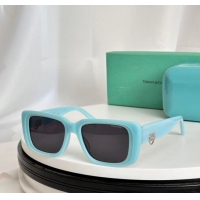 Hot Style Tiffany & CO. Sunglasses TF5009 Blue 2024