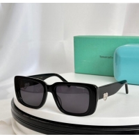 Refined Discount Tiffany & CO. Sunglasses TF5009 Black 2024