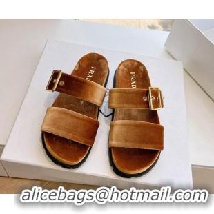 Low Price Prada Velvet Flat Slides Sandal with Buckle Brown 611098