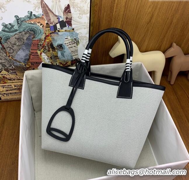 Hot Style Hermès Steeple 25 Bag in Plume Canvas and Swift Calfskin H73003 Black 2024 (Top Quality)